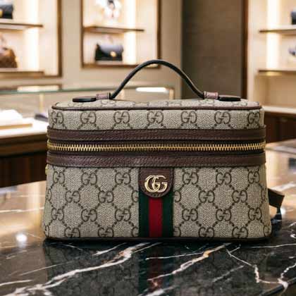 Gucci 老花雙層包838491