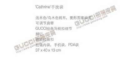 gucci古奇經典時尚女包 帆布配皮手挽包 手提包 247287啡