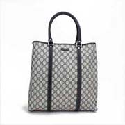 gucci新款藍(lán)色老花單肩包223668 