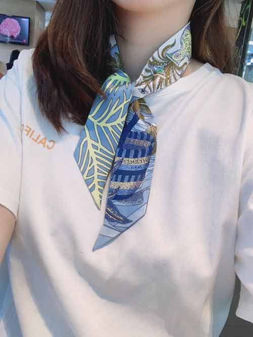 愛馬仕新款Twilly絲帶超精細的印花 字跡非常清晰