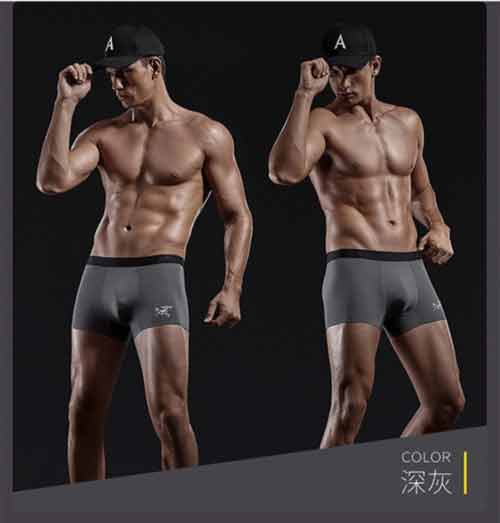外貿尾單 大品牌始祖鳥/arcteryx潮牌銅離子抗菌內褲 男士平角褲