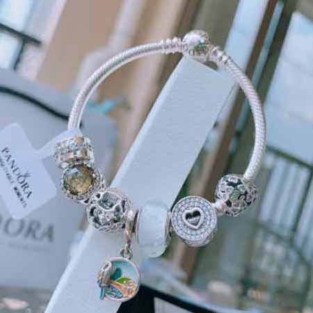 潘多拉手鏈手鐲Pandora 抖音網紅 直播帶貨 高品質鑲嵌工藝